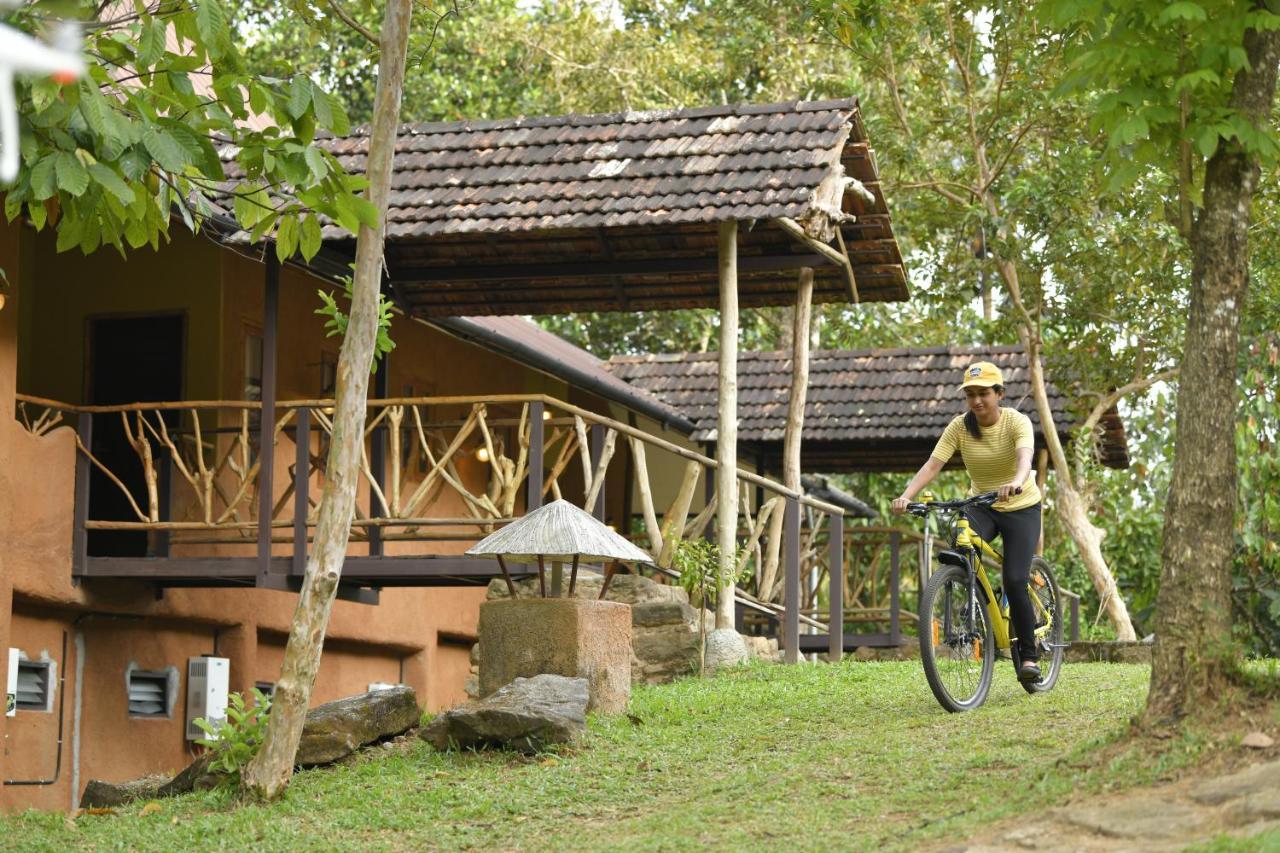 Beyond Eco Living Apartamento Munnar Exterior foto