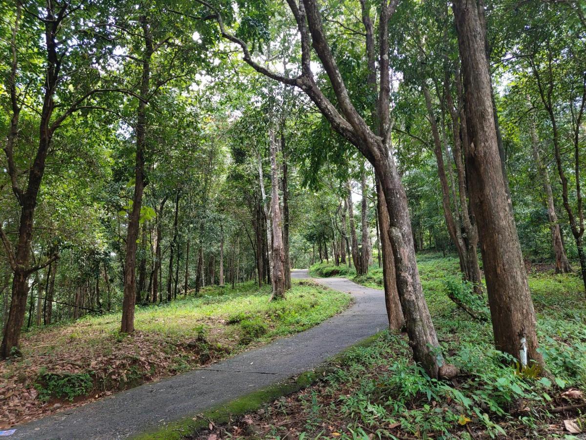 Beyond Eco Living Apartamento Munnar Exterior foto